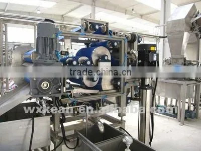 Apple/pear/carrot juice extractor ( for industrial) with ISO and CE
