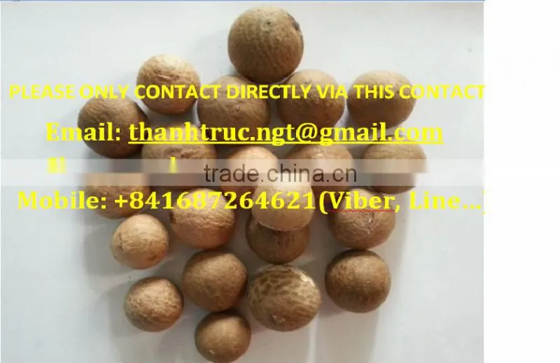 SELLING BOILED BETEL NUT Wrinkle seeds FROM VIETNAM