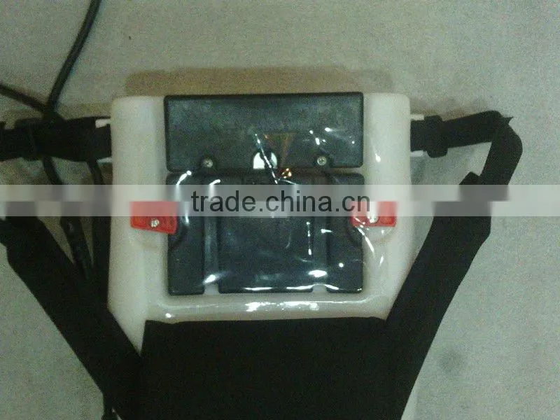 Electric garden hand Sprayer