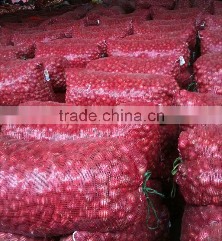Fresh Red Onion
