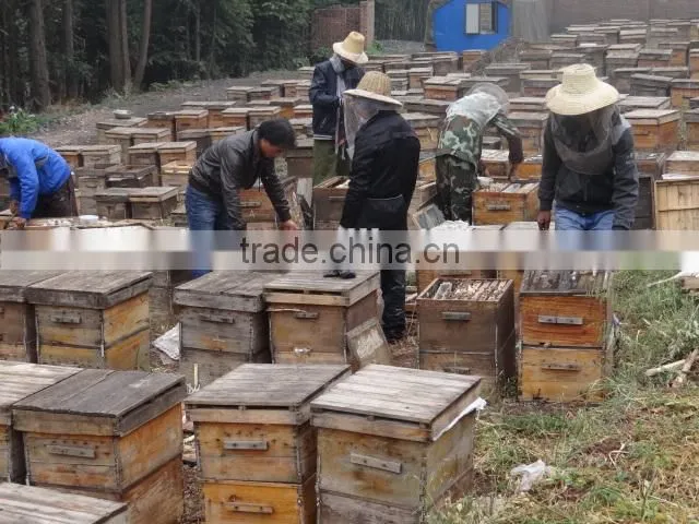 mixed cleaning bee pollen granular for beekeeping with the competitive price