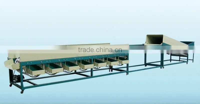 Cleaning onion grading line