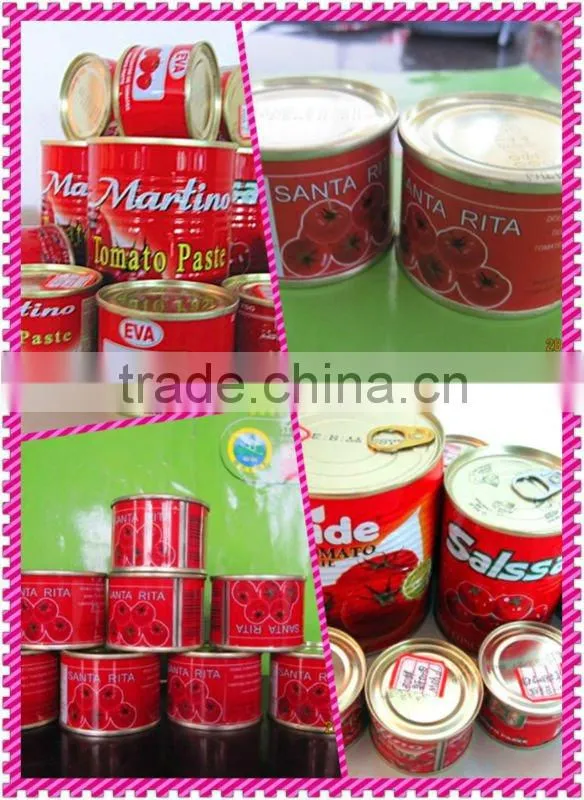 HOT SELL ! 70G-3KG canned tomato paste with brix28~30%,18~20%,22~24%