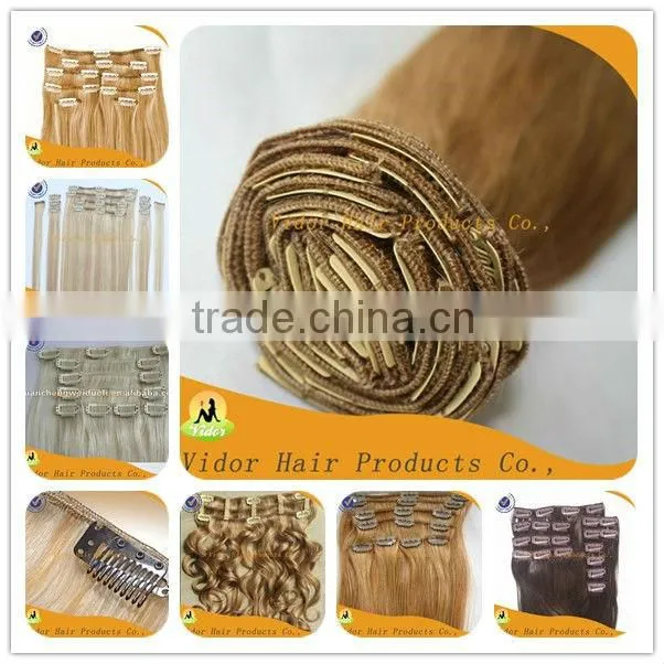 100% Virgin Remy Brazilan Hair Clip In100% Human Clip Hair Extensions