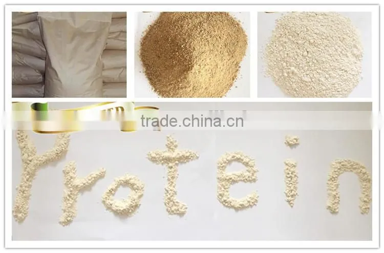 Food Quality Raw Rice Protein powder