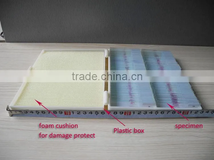Microscope Slides 200pcs set