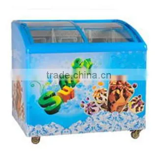 Curved Double Door Ice Cream Freezer