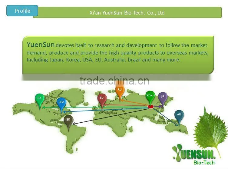 Epimedium powder icariin 50% 60% 80% 98% epimedium extract