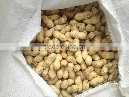 Chinese blanched peanut kernels