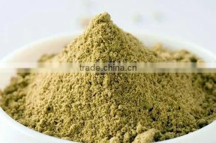 Coriander powder