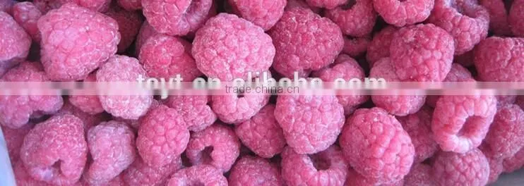 Golden Supplier of Top Quality IQF Frozen Raspberry