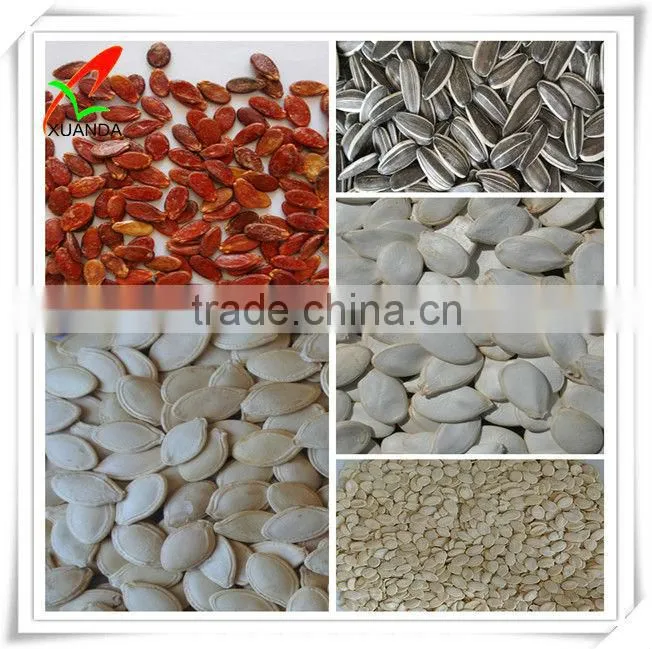 snow white all kinds pumpkin seeds