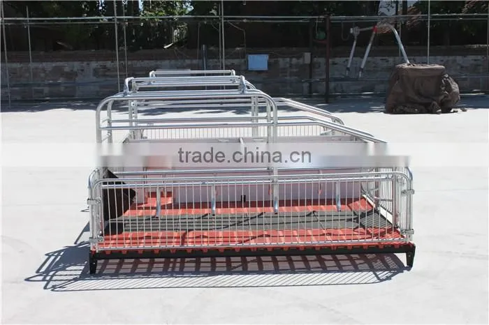 Goldenest High quality cheap price automatic farrowing crate for pigs sow sty farming equipment for sale
