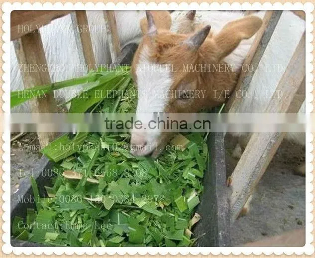 Multifunction Grass Cutter CE Approved