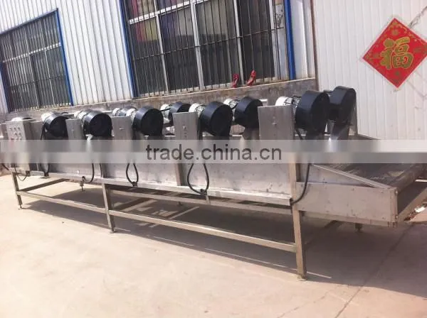 VD Vegetable dehydration machine high efficiency and best price, dehydrator, dehydrate machine