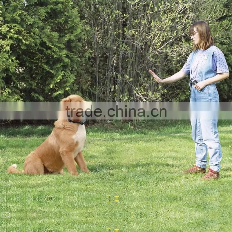 Hot sell Blue button Waterproof Rechargeable Remote Electric Shock Vibration Pet Dog Training Collar button option