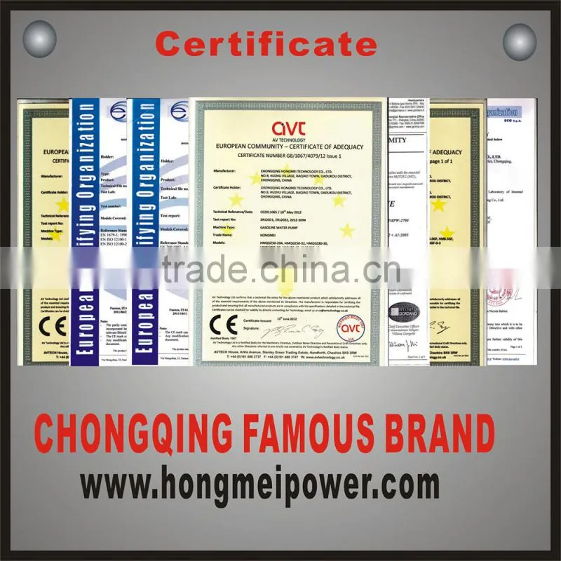single cylinder gasoline engine 4 stroke gasoline engine 6.5 HP Gas Engine