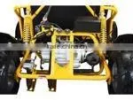 110cc teenager buggy