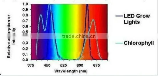 300w led grow light high power hydroponic/aquaponic LED cob plant lighting