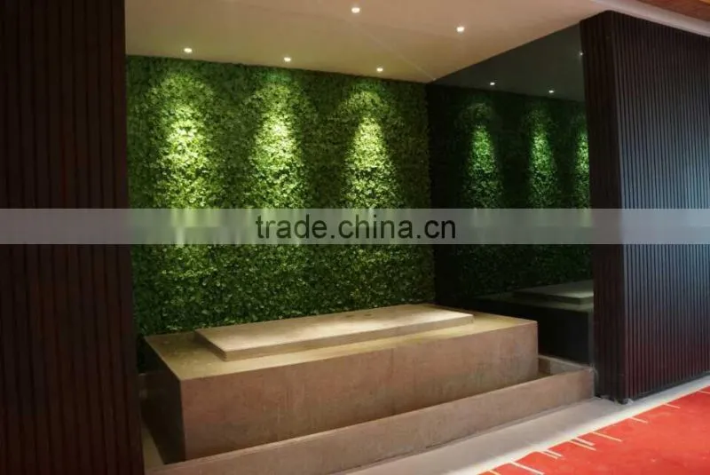 Only $ 1 for Artificial outdoor plant wall sample (Off-price Merchandise for sale new goods )