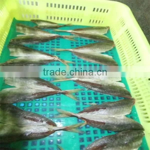 pre fried breaded frozen horse mackerel