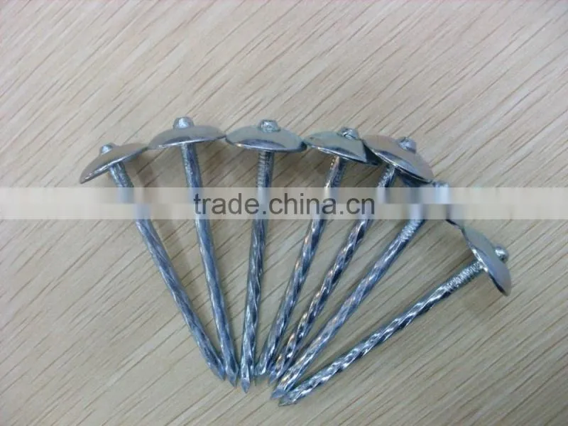 high quality roofing nail from china manufacturer