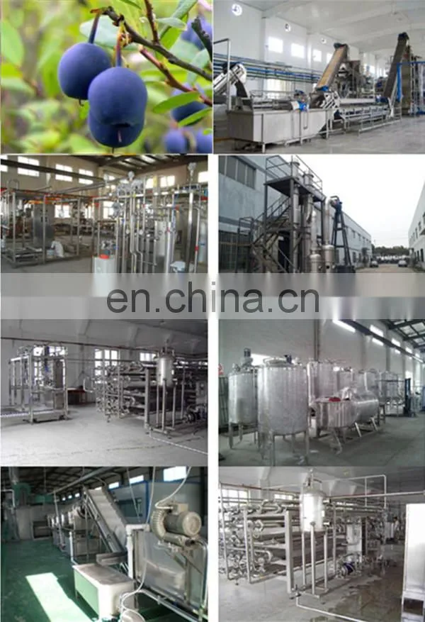 High Quality Fruit Jam Production Line In Shanghai
