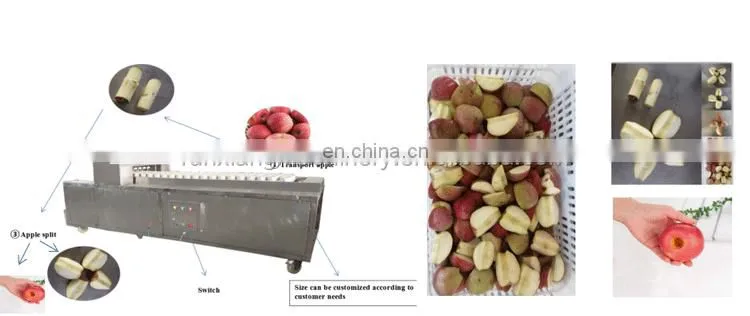 China Cheapest Price Best Quality Cherry Apple Peach Plum Olive Apricot Seed Core Pitter Remover On Warehouse