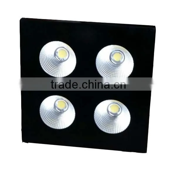 Blinder light
