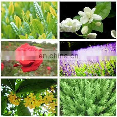 CHINA Wholesale Essential Oil Use Moisturizer Skin Organic Essential Oils for Body Skin Care
