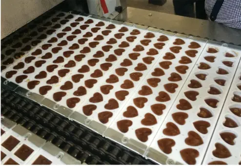 Brown Sugar Cube Jaggery Making Machine Line