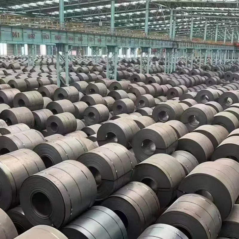 733040887_122117923587123662_3860578172693357012_n
