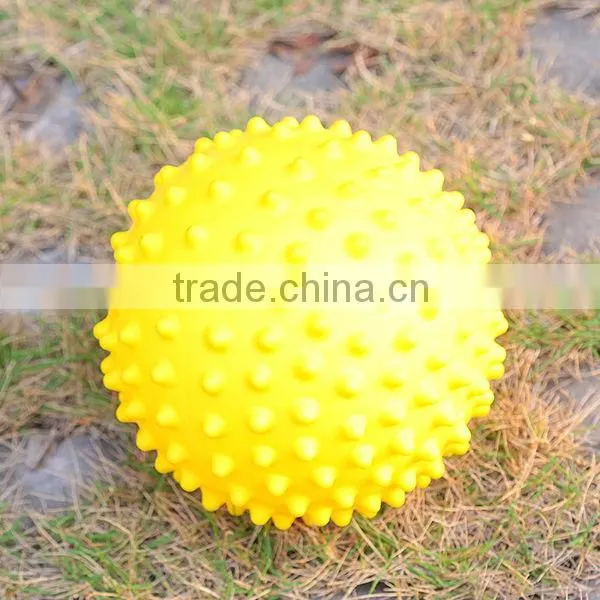 2014 Hot Sale Inflatable Soft Play Ball Toys Dog