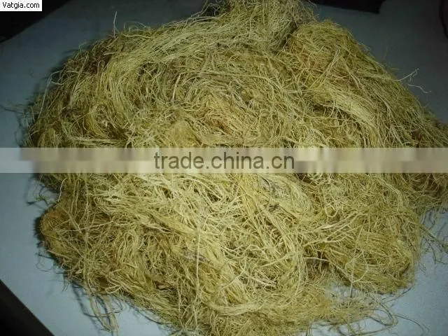 Gracilaria (seaweed)