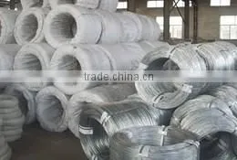 electro galvanized iron wire in coil (real factory)