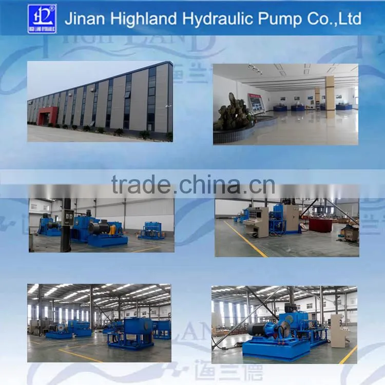 Factory directly supply hydraulic pump for crane