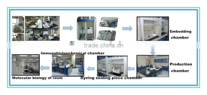 Pathology Lab Equipment Paraffin Microtome Price HS3345