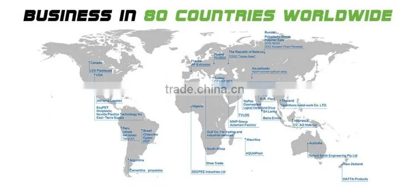CE ISO Approved Top Brand PET Bottle Washing Recycling Line