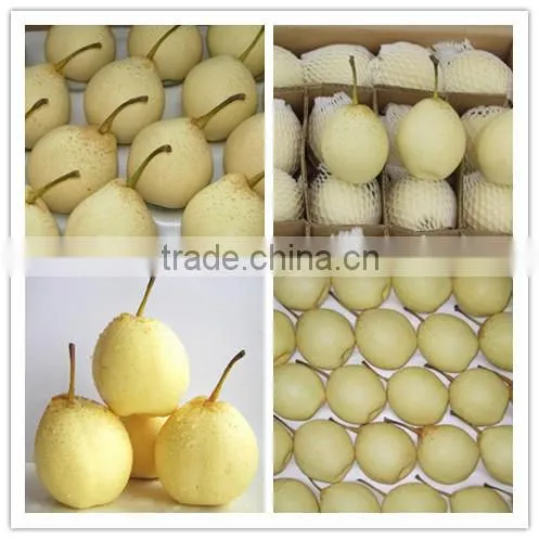 China fresh sweet ya pear with high quality