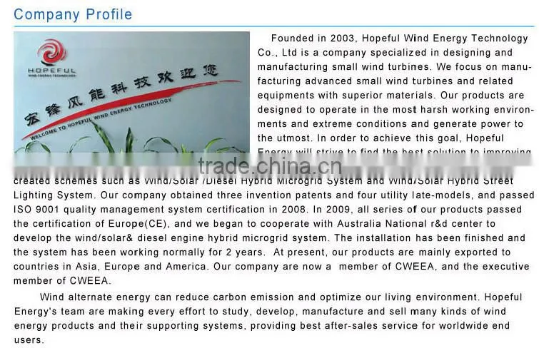 600w family wind power generator (off- grid)horizontal axis wind turbine 12v