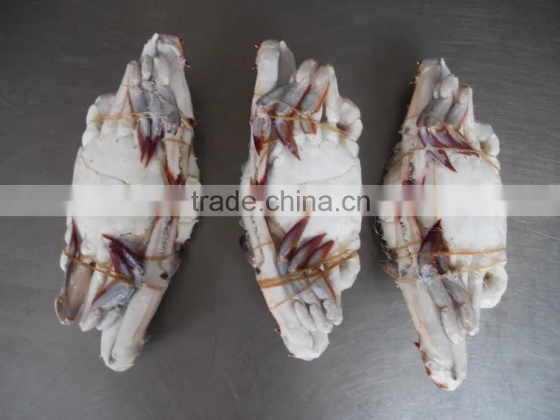 frozen blue swimming crab for sale