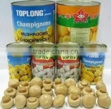 canned mushroom in cans