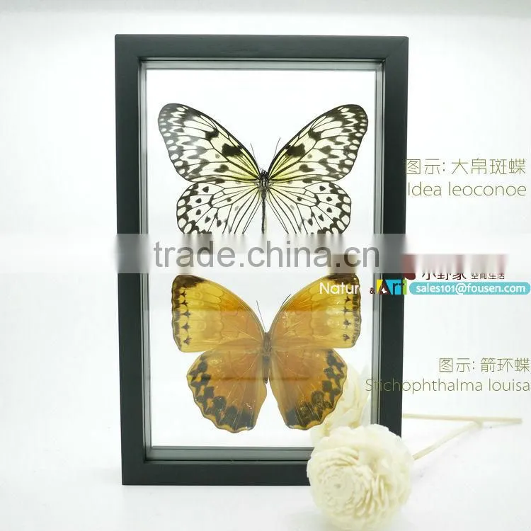 FOUSEN(043) Nature& Art natural species handmade photo frames designs