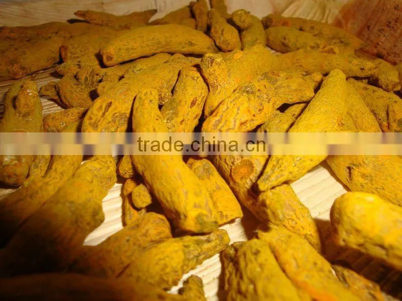Fresh Turmeric / Dried Turmeric / Turmeric Finger