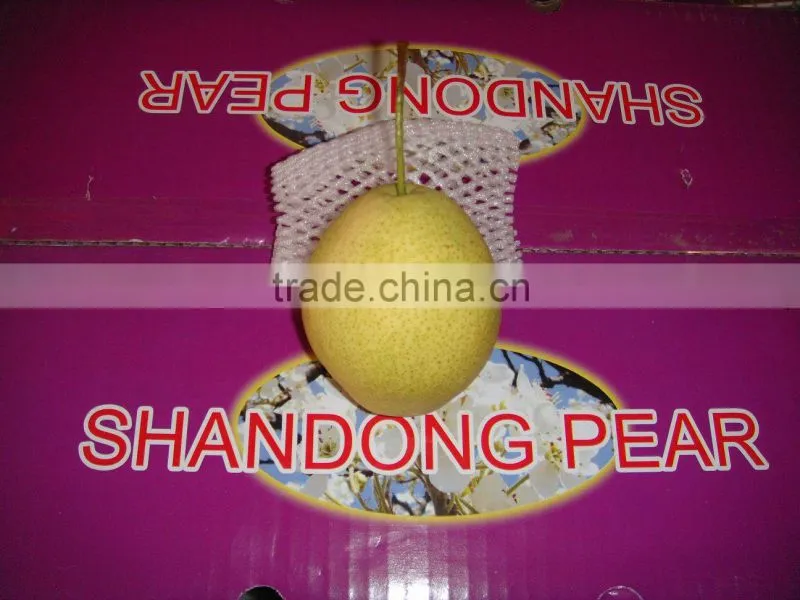 2015 fresh shandong pear supplying in china