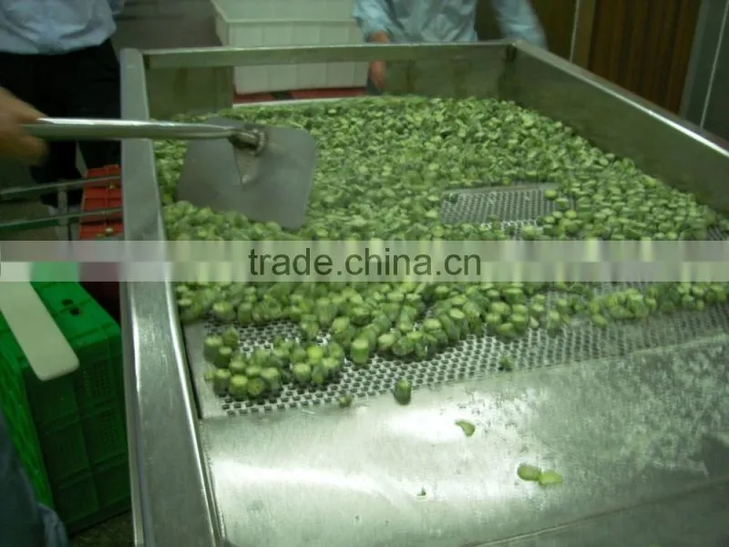 Frozen okra