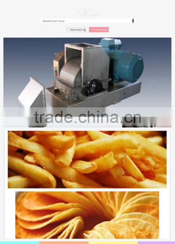 Potato starch equipment factory