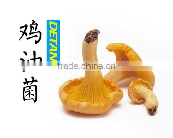 Frozen Grade A Chanterelles Mushrooms