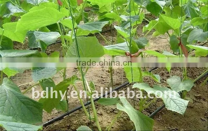 drip irrigation tape with double line