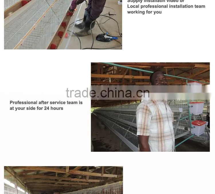 CHINA sales promotion 80 dollars this month chicken coop supplies